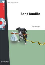 Icon image LFF B1 - Sans famille (ebook)