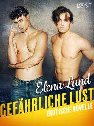 Icon image Gefährliche Lust - Erotische Novelle