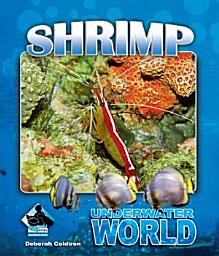 Icon image Shrimp