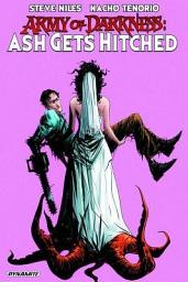 Icon image Army of Darkness: Ash Gets Hitched