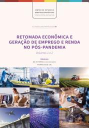 Icon image Retomada Econômica e Geração de Emprego e Renda no Pós-Pandemia