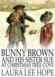 Icon image Bunny Brown and His Sister Sue at Christmas Tree Cove