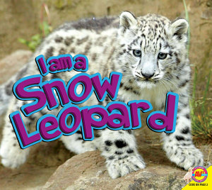 Icon image