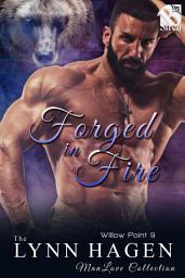 Icon image Forged in Fire (Willow Point 9)