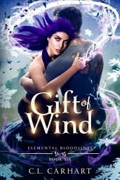 Icon image Gift of Wind: A Second Chance Paranormal Romance Book