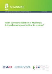 Icon image Farm commercialization in Myanmar: A transformation on hold or in reverse?