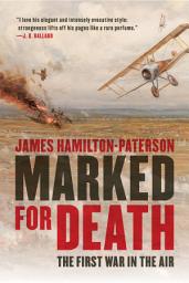 Icon image Marked for Death: The First War in the Air