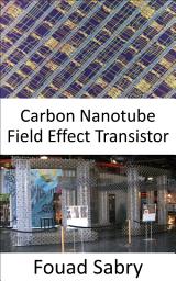 Icon image Carbon Nanotube Field Effect Transistor: Making the transition from the research facility to the production floor