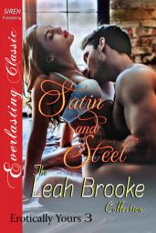 Icon image Satin and Steel [Erotically Yours 3]