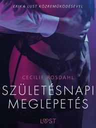 Icon image Születésnapi meglepetés – Szex és erotika