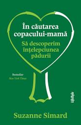 Icon image În căutarea copacului-mamă: Să descoperim înțelepciunea pădurii