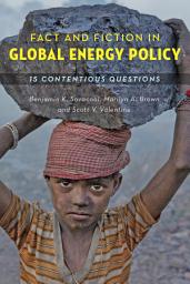 Icon image Fact and Fiction in Global Energy Policy: Fifteen Contentious Questions