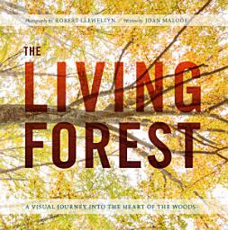 Icon image The Living Forest: A Visual Journey Into the Heart of the Woods