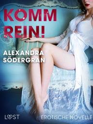 Icon image Komm rein! Erotische Novelle