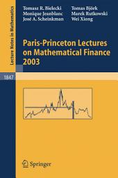 Icon image Paris-Princeton Lectures on Mathematical Finance 2003