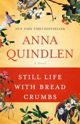 Icon image Still Life with Bread Crumbs: A Novel