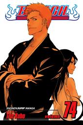 Icon image Bleach: The Death and the Strawberry