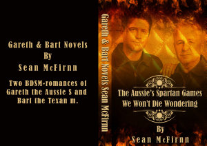 Icon image The Gareth and Bart Novels