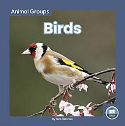 Icon image Birds