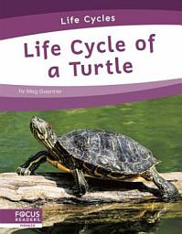 Icon image Life Cycle of a Turtle