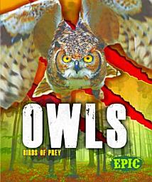 Icon image Owls