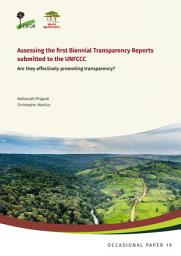 Icon image Assessing the first Biennial Transparency Reports submitted to the UNFCCC: Are they effectively promoting transparency?