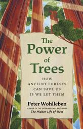 Icon image The Power of Trees: How Ancient Forests Can Save Us if We Let Them