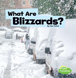 Icon image What Are Blizzards?