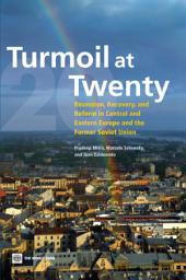 Icon image Turmoil at Twenty: Recession, Recovery and Reform in Central and Eastern Europe and the Former Soviet Union