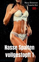 Icon image Nasse Spalten vollgestopft 1: Geil versaute Sexgeschichten