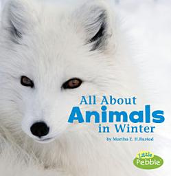 Icon image All About Animals in Winter