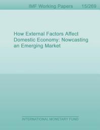 Icon image How External Factors Affect Domestic Economy: Nowcasting an Emerging Market