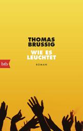 Icon image Wie es leuchtet: Roman