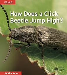 Icon image How Does a Click Beetle Jump High?