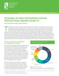 Icon image Scaling up and sustaining social protection under COVID-19