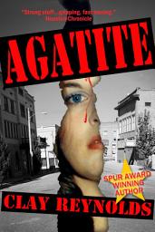 Icon image Agatite
