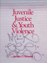 Icon image Juvenile Justice and Youth Violence
