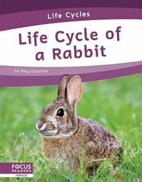 Icon image Life Cycle of a Rabbit