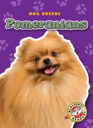 Icon image Pomeranians