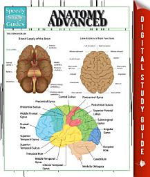 Icon image Anatomy Advanced