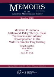 Icon image Maximal Functions, LittlewoodPaley Theory, Riesz Transforms and Atomic Decomposition in the Multi-Parameter Flag Setting
