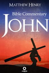 Icon image The Gospel of John - Complete Bible Commentary Verse by Verse