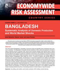 Icon image Bangladesh: Systematic analysis of domestic production and world market shocks