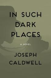 Icon image In Such Dark Places: A Novel