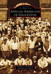 Icon image African Americans of Galveston