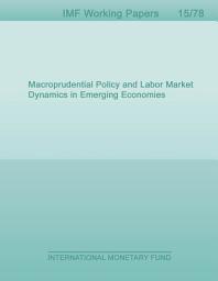Icon image Macroprudential Policy and Labor Market Dynamics in Emerging Economies