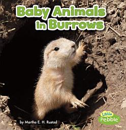Icon image Baby Animals in Burrows