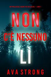 Icon image Non c’è nessuno lì (Un thriller dell’agente FBI Sofia Blake — Libro 1)