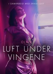 Icon image Luft under vingene - erotisk novelle