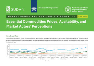 Icon image Essential commodities prices, availability, and market actors’ perceptions: June 2026